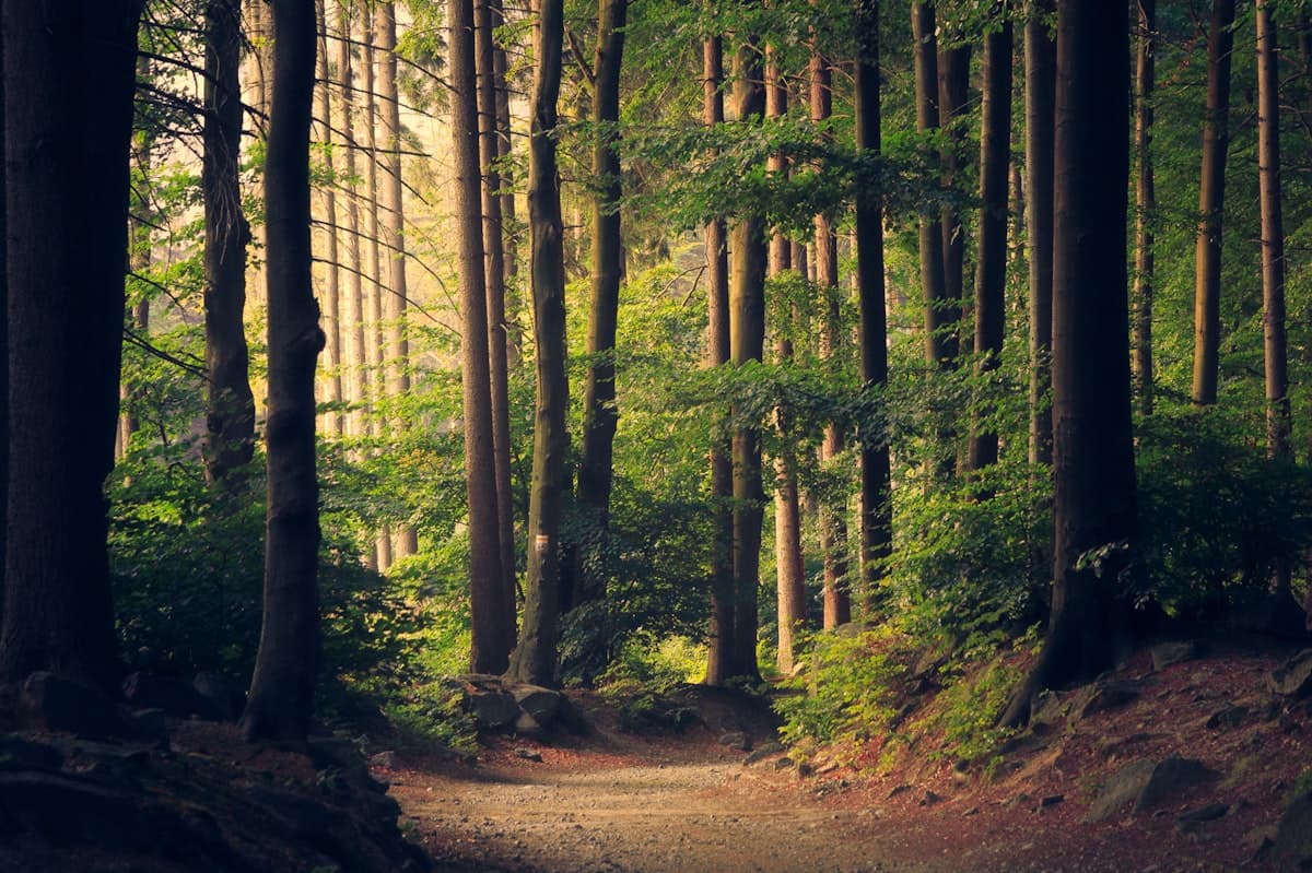 Gatlinburg, Tennessee